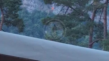 Incendie à Montcusel - Jura - 14 juillet 2026 - Feux de forêts et d'espaces naturels