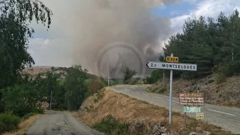 Incendie à Montselgues - Ardèche - 15 juillet 2026 - Feux de forêts et d'espaces naturels