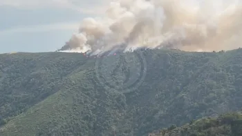 Incendie à Montselgues - Ardèche - 15 juillet 2026 - Feux de forêts et d'espaces naturels