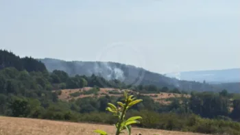 Incendie à La Grande-Verrière - Saône-et-Loire - 15 juillet 2026 - Feux de forêts et d'espaces naturels