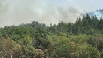 Incendie à La Grande-Verrière - Saône-et-Loire - 15 juillet 2026 - Feux de forêts et d'espaces naturels