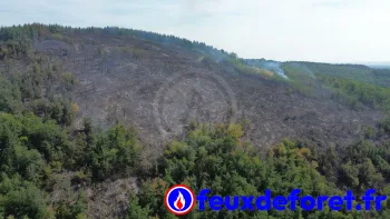 Incendie à La Grande-Verrière - Saône-et-Loire - 15 juillet 2026 - Feux de forêts et d'espaces naturels