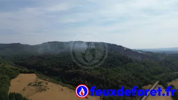 Incendie à La Grande-Verrière - Saône-et-Loire - 15 juillet 2026 - Feux de forêts et d'espaces naturels