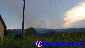 Incendie à La Grande-Verrière - Saône-et-Loire - 15 juillet 2026 - Feux de forêts et d'espaces naturels