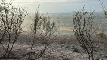 Incendie à Châtelus-Malvaleix - Creuse - 15 juillet 2026 - Feux de forêts et d'espaces naturels