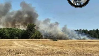 Incendie à Marnay - Vienne - 19 juin 2026 - Feux de forêts et d'espaces naturels