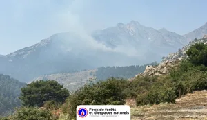 Incendie à Corte (2B) : les pompiers interviennent