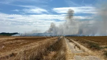 Incendie à Moyenneville - Somme - 16 juillet 2026 - Feux de forêts et d'espaces naturels