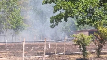 Incendie à Saint-Yzan-de-Soudiac - Gironde - 16 juillet 2026 - Feux de forêts et d'espaces naturels