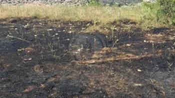 Incendie à Gramat - Lot - 19 juin 2026 - Feux de forêts et d'espaces naturels