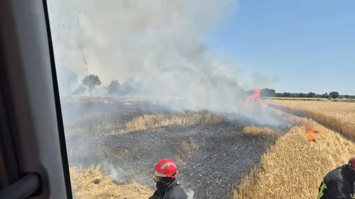 Incendie à Boivre-la-Vallée - Vienne - 19 juin 2026 - Feux de forêts et d'espaces naturels