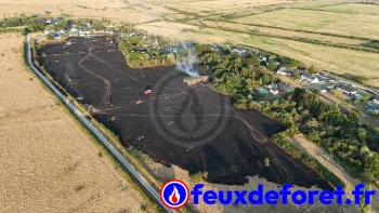 Incendie à Montoir-de-Bretagne - Loire-Atlantique - 17 juillet 2026 - Feux de forêts et d'espaces naturels