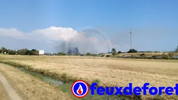 Incendie à Montoir-de-Bretagne - Loire-Atlantique - 17 juillet 2026 - Feux de forêts et d'espaces naturels