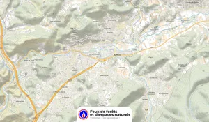 Auriol (13)