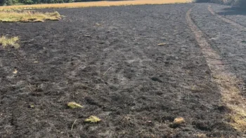 Incendie à Val-d'Oire-et-Gartempe - Haute-Vienne - 19 juin 2026 - Feux de forêts et d'espaces naturels