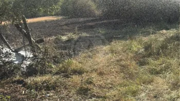 Incendie à Val-d'Oire-et-Gartempe - Haute-Vienne - 19 juin 2026 - Feux de forêts et d'espaces naturels