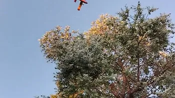 Incendie à Fréjus - Var - 18 juillet 2026 - Feux de forêts et d'espaces naturels