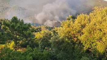 Incendie à Fréjus - Var - 18 juillet 2026 - Feux de forêts et d'espaces naturels