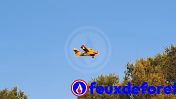 Incendie à Fréjus - Var - 18 juillet 2026 - Feux de forêts et d'espaces naturels