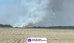 Incendie à Chézy (03) : le feu est éteint