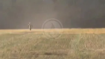 Incendie à Héric - Loire-Atlantique - 18 juillet 2026 - Feux de forêts et d'espaces naturels