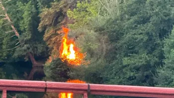 Incendie à Biars-sur-Cère - Lot - 18 juillet 2026 - Feux de forêts et d'espaces naturels