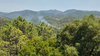 Incendie à Fréjus - Var - 19 juillet 2026 - Feux de forêts et d'espaces naturels