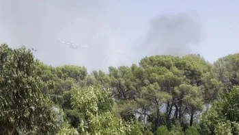 Incendie à La Londe-les-Maures - Var - 19 juillet 2026 - Feux de forêts et d'espaces naturels