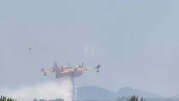 Incendie à La Londe-les-Maures - Var - 19 juillet 2026 - Feux de forêts et d'espaces naturels