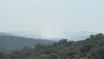 Incendie à La Londe-les-Maures - Var - 19 juillet 2026 - Feux de forêts et d'espaces naturels