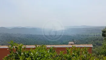 Incendie à La Londe-les-Maures - Var - 19 juillet 2026 - Feux de forêts et d'espaces naturels