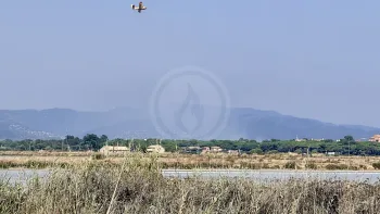 Incendie à La Londe-les-Maures - Var - 19 juillet 2026 - Feux de forêts et d'espaces naturels