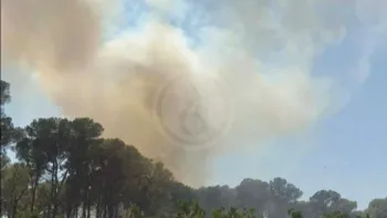 Incendie à La Londe-les-Maures - Var - 19 juillet 2026 - Feux de forêts et d'espaces naturels