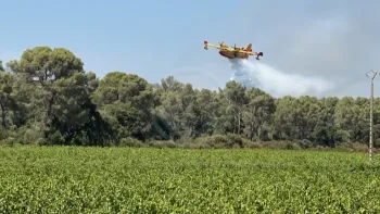 Incendie à La Londe-les-Maures - Var - 19 juillet 2026 - Feux de forêts et d'espaces naturels