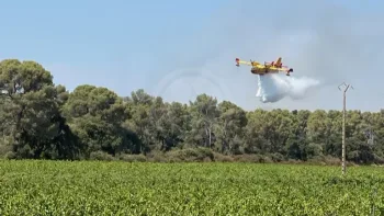 Incendie à La Londe-les-Maures - Var - 19 juillet 2026 - Feux de forêts et d'espaces naturels