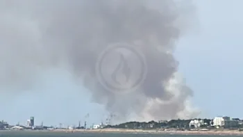 Incendie à Trignac - Loire-Atlantique - 19 juillet 2026 - Feux de forêts et d'espaces naturels