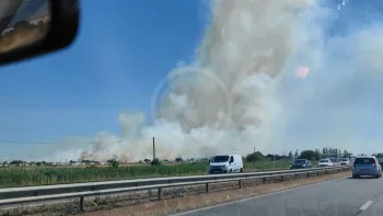 Incendie à Trignac - Loire-Atlantique - 19 juillet 2026 - Feux de forêts et d'espaces naturels