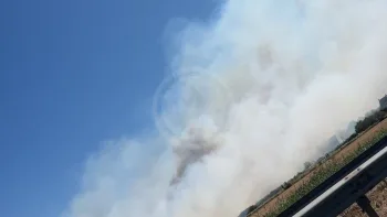 Incendie à Trignac - Loire-Atlantique - 19 juillet 2026 - Feux de forêts et d'espaces naturels