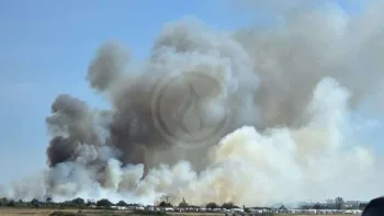 Incendie à Trignac - Loire-Atlantique - 19 juillet 2026 - Feux de forêts et d'espaces naturels