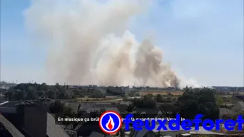 Incendie à Trignac - Loire-Atlantique - 19 juillet 2026 - Feux de forêts et d'espaces naturels