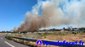Incendie à Trignac - Loire-Atlantique - 19 juillet 2026 - Feux de forêts et d'espaces naturels