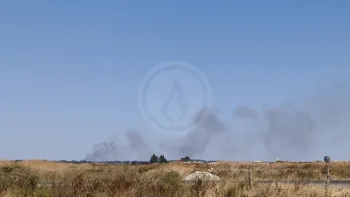 Incendie à Trignac - Loire-Atlantique - 19 juillet 2026 - Feux de forêts et d'espaces naturels