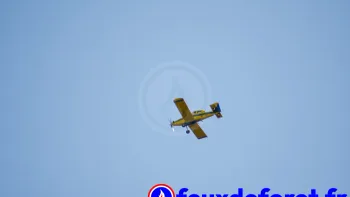 Incendie à Trignac - Loire-Atlantique - 19 juillet 2026 - Feux de forêts et d'espaces naturels