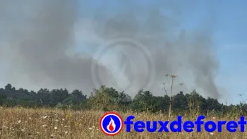 Incendie à La Chapelle-Heulin - Loire-Atlantique - 19 juillet 2026 - Feux de forêts et d'espaces naturels