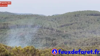 Incendie à Brignoles - Var - 19 juillet 2026 - Feux de forêts et d'espaces naturels
