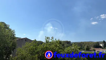 Incendie à Flayosc - Var - 20 juin 2026 - Feux de forêts et d'espaces naturels