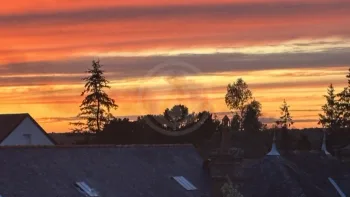 Incendie à Paimpont - Ille-et-Vilaine - 19 juillet 2026 - Feux de forêts et d'espaces naturels