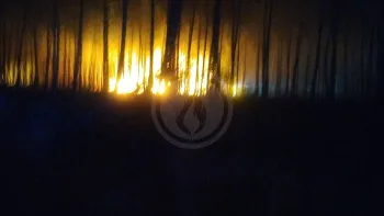 Incendie à Arès - Gironde - 20 juillet 2026 - Feux de forêts et d'espaces naturels