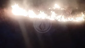 Incendie à Arès - Gironde - 20 juillet 2026 - Feux de forêts et d'espaces naturels