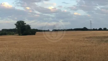 Incendie à Fleuré - Vienne - 20 juin 2026 - Feux de forêts et d'espaces naturels